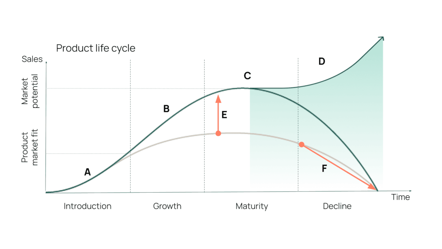 Product lifecycle stages